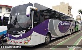 Caribeños LB 2073 na cidade de Costa Rica, Mato Grosso do Sul, Brasil, por Andrés Martínez Rodríguez. Número da foto: #6000771.