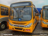 Transportes Coletivos Nossa Senhora da Piedade 294 na cidade de Campo Largo, Paraná, Brasil, por Diego Bianco. Número da foto: #:id.