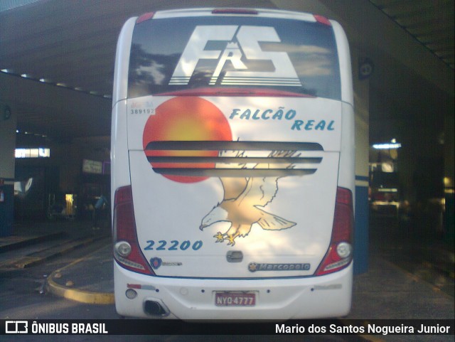 Falcão Real 22200 na cidade de Salvador, Bahia, Brasil, por Mario dos Santos Nogueira Junior. ID da foto: 6005640.