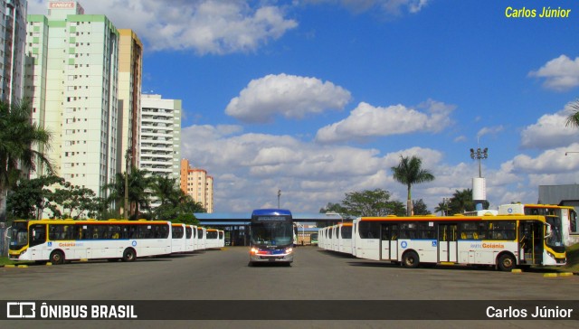 HP Transportes Coletivos 0000 na cidade de Goiânia, Goiás, Brasil, por Carlos Júnior. ID da foto: 6006357.