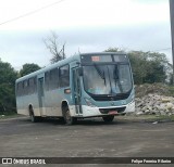 Viação Nossa Senhora Conquistadora 531 na cidade de Brasil, por Felipe Ferreira Ribeiro. Número da foto: #6006640.