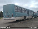 Viação Nossa Senhora Conquistadora 514 na cidade de Brasil, por Felipe Ferreira Ribeiro. Número da foto: #6006651.