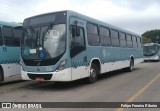 Viação Nossa Senhora Conquistadora 529 na cidade de Brasil, por Felipe Ferreira Ribeiro. Número da foto: #6006634.