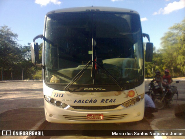 Falcão Real 1313 na cidade de Piritiba, Bahia, Brasil, por Mario dos Santos Nogueira Junior. ID da foto: 6008539.