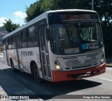 Viação Fervima 635 na cidade de Taboão da Serra, São Paulo, Brasil, por Diego da Silva Teixeira. Número da foto: #6008412.