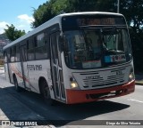 Viação Fervima 635 na cidade de Brasil, por Diego da Silva Teixeira. ID da foto: :id.