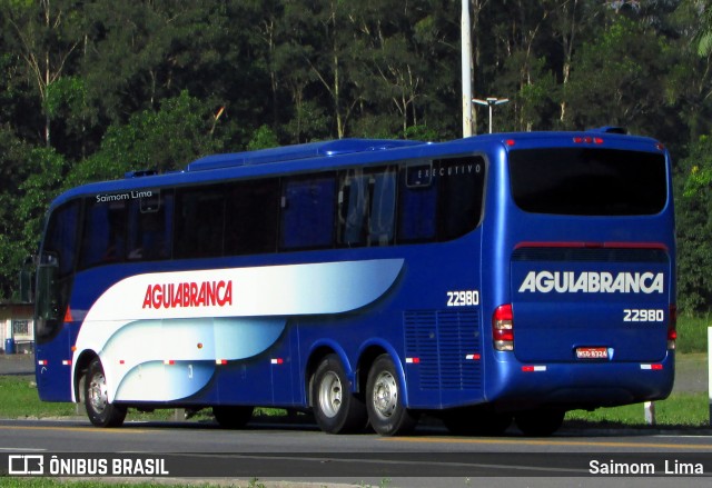 Viação Águia Branca 22980 na cidade de Viana, Espírito Santo, Brasil, por Saimom  Lima. ID da foto: 6010510.