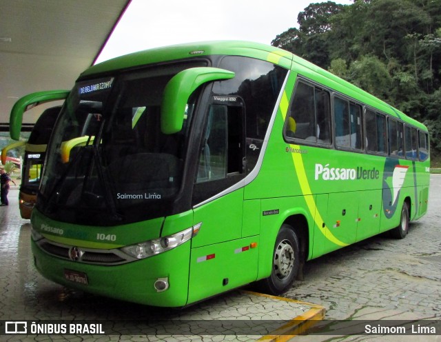 Pássaro Verde 1040 na cidade de Manhuaçu, Minas Gerais, Brasil, por Saimom  Lima. ID da foto: 6012549.