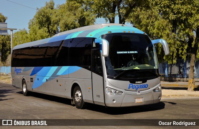 Pegasso 5163 na cidade de Brasil, por Oscar Rodriguez . Número da foto: #6017850.