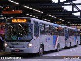 TransTupi Turismo e Fretamento 236 na cidade de Curitiba, Paraná, Brasil, por Gabriel Marciniuk. Número da foto: #:id.