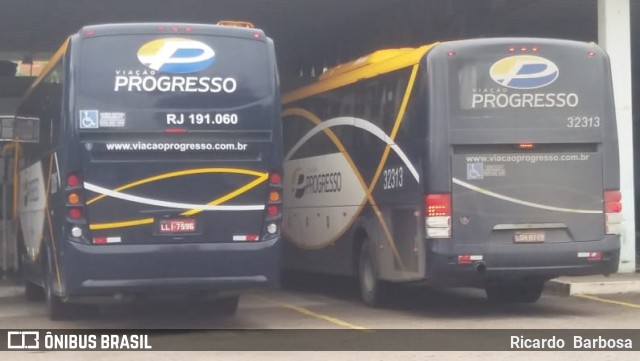 Viação Progresso 30316 na cidade de Brasil, por Ricardo  Barbosa. Número da foto: #6019663.