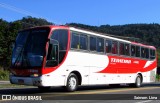 Empresa Irmãos Teixeira 44500 na cidade de Viana, Espírito Santo, Brasil, por Saimom  Lima. Número da foto: #:id.