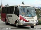 Rouxinol 135 na cidade de Belo Horizonte, Minas Gerais, Brasil, por Adão Raimundo Marcelino. Número da foto: #6023418.