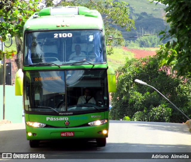 Pássaro Verde 2100 na cidade de Ponte Nova, Minas Gerais, Brasil, por Adriano  Almeida. Número da foto: #6024659.
