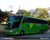 Pássaro Verde 12124 na cidade de Ponte Nova, Minas Gerais, Brasil, por Adriano  Almeida. Número da foto: #:id.