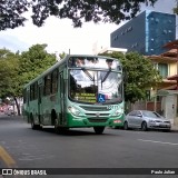 Viação Paraense 30171 na cidade de Belo Horizonte, Minas Gerais, Brasil, por Paulo Julian. Número da foto: #6026634.