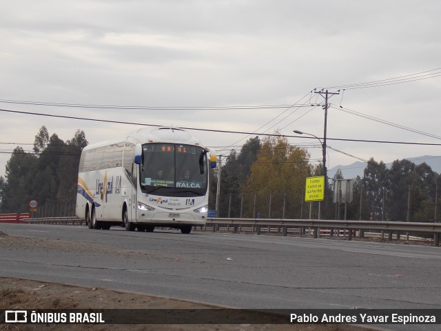 Buses Linea Azul 604 na cidade de San Fernando, Colchagua, Libertador General Bernardo O'Higgins, Chile, por Pablo Andres Yavar Espinoza. ID da foto: 5976727.