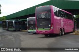 Terminais Rodoviários e Urbanos  na cidade de Cianorte, Paraná, Brasil, por Everaldo Bordini. Número da foto: #:id.