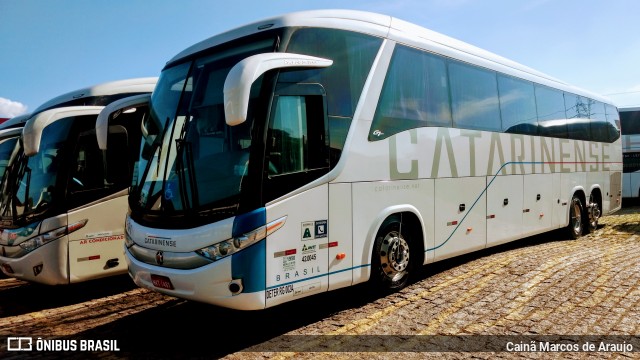 Auto Viação Catarinense 3391 na cidade de São Paulo, São Paulo, Brasil, por Cainã Marcos de Araujo. Número da foto: #5979761.