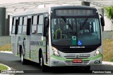 Guerino Seiscento 1617 na cidade de Marília, São Paulo, Brasil, por Francisco Ivano. Número da foto: #5981012.