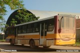Escolares 7 7486 na cidade de Ji-Paraná, Rondônia, Brasil, por Gian Lucas  Santana Zardo. Número da foto: #5986806.
