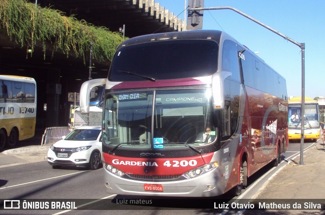 Expresso Gardenia 4200 na cidade de Belo Horizonte, Minas Gerais, Brasil, por Luiz Otavio Matheus da Silva. ID da foto: 5988396.