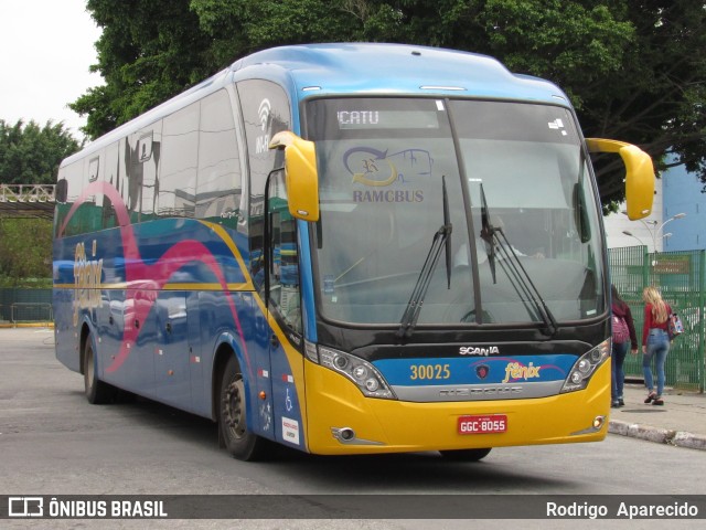 Rápido Expresso Fênix Viação 30025 na cidade de São Paulo, São Paulo, Brasil, por Rodrigo  Aparecido. Número da foto: #5988662.