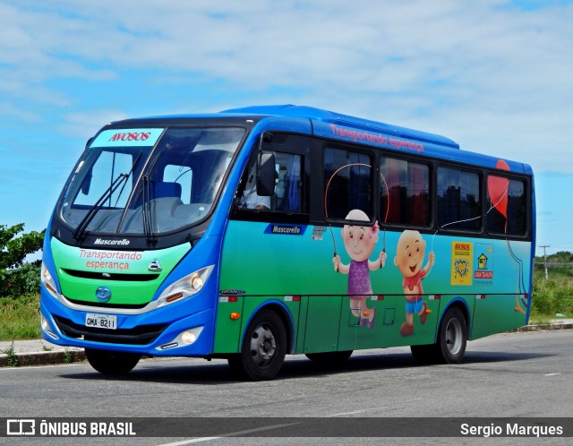 Avosos 8211 na cidade de Aracaju, Sergipe, Brasil, por Sergio Marques . ID da foto: 6044115.