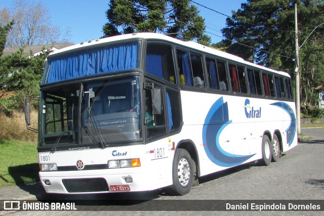 Citral Transporte e Turismo 1801 na cidade de Canela, Rio Grande do Sul, Brasil, por Daniel Espindola Dorneles. Número da foto: #6043922.
