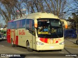 Buses Bio Bio 317 na cidade de Chillán, Ñuble, Bío-Bío, Chile, por Javier Ferrada. Número da foto: #6044165.