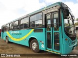 CAF Transportes 1110 na cidade de João Monlevade, Minas Gerais, Brasil, por Rodrigo  Aparecido. Número da foto: #6044941.
