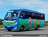 Avosos 8211 na cidade de Aracaju, Sergipe, Brasil, por Sergio Marques . Número da foto: #6044115.