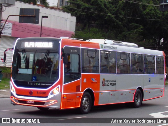 Alfa Rodobus > CooperAlfa 8 6001 na cidade de São Paulo, São Paulo, Brasil, por Adam Xavier Rodrigues Lima. ID da foto: 6045912.