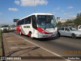 Rouxinol 1810 na cidade de Contagem, Minas Gerais, Brasil, por Weslley Silva. Número da foto: #:id.