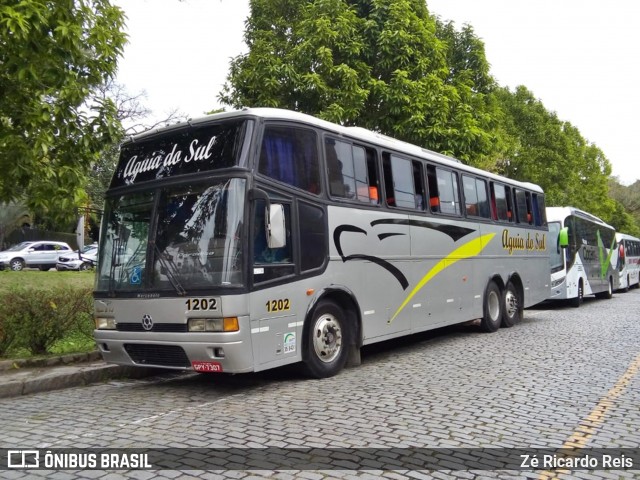 Águia do Sul Turismo 1202 na cidade de Petrópolis, Rio de Janeiro, Brasil, por Zé Ricardo Reis. Número da foto: #6047472.