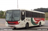 Transprata Turismo 350 na cidade de João Monlevade, Minas Gerais, Brasil, por Rodrigo  Aparecido. Número da foto: #6051659.