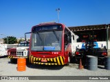 Transwolff Transportes e Turismo 7 812 na cidade de São Paulo, São Paulo, Brasil, por Roberto Teixeira. Número da foto: #6056171.