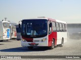 Transwolff Transportes e Turismo  na cidade de São Paulo, São Paulo, Brasil, por Roberto Teixeira. Número da foto: #6056185.