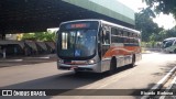Transportes Coletivos Grande Bauru 2804 na cidade de Bauru, São Paulo, Brasil, por Ricardo  Barbosa. Número da foto: #6056799.