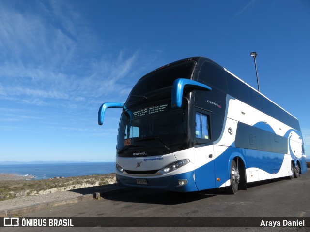 Covalle Bus  na cidade de Brasil, por Araya Daniel . Número da foto: #6030549.