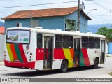 Viação Bom Jesus > VTL - Viação Trans Líder 319 na cidade de Cubatão, São Paulo, Brasil, por Adam Xavier Rodrigues Lima. Número da foto: #6060873.