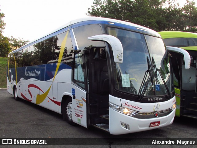 Sussantur 2047 na cidade de Poços de Caldas, Minas Gerais, Brasil, por Alexandre  Magnus. Número da foto: #6063020.