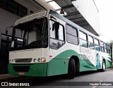 Transportes Coletivos Nossa Senhora da Piedade EXPRESSO AMBIENTAL na cidade de Campo Largo, Paraná, Brasil, por Hipólito Rodrigues. Número da foto: #:id.