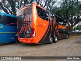 Catedral Turismo 18230 na cidade de São Paulo, São Paulo, Brasil, por Hillan Oliveira . Número da foto: #:id.