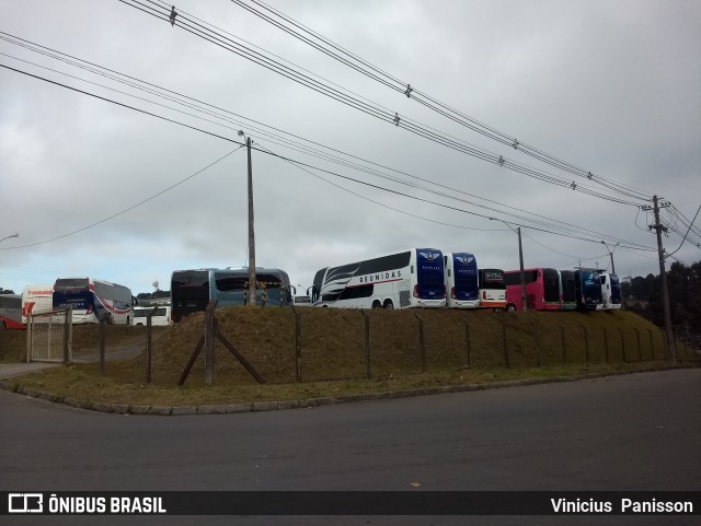 Reunidas Transportes Coletivos 38804 na cidade de Caxias do Sul, Rio Grande do Sul, Brasil, por Vinicius  Panisson. Número da foto: #6064838.