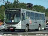 BluMob - Concessionária de Transporte Urbano de Blumenau 9405 na cidade de Blumenau, Santa Catarina, Brasil, por Estevão Emilio Ronchi. Número da foto: #:id.