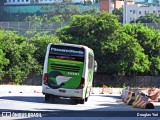 Pássaro Verde 11081 na cidade de Belo Horizonte, Minas Gerais, Brasil, por Douglas Yuri. Número da foto: #:id.