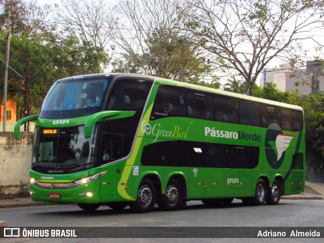 Pássaro Verde 12121 na cidade de Ponte Nova, Minas Gerais, Brasil, por Adriano  Almeida. Número da foto: #6073213.