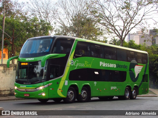 Pássaro Verde 12121 na cidade de Ponte Nova, Minas Gerais, Brasil, por Adriano  Almeida. ID da foto: 6073213.