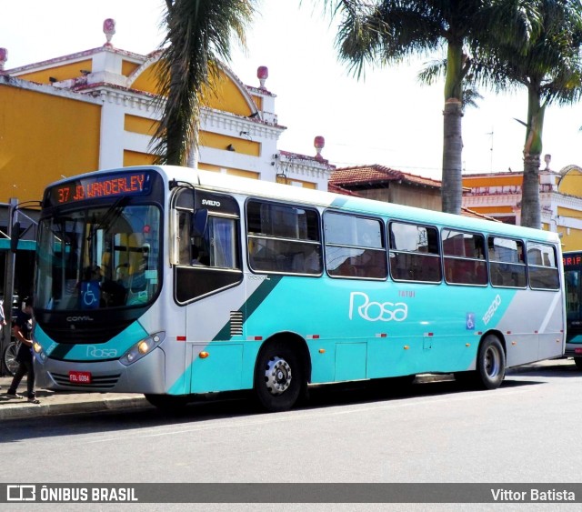 Rosa Turismo 15500 na cidade de Tatuí, São Paulo, Brasil, por Vittor Batista. Número da foto: #6074400.